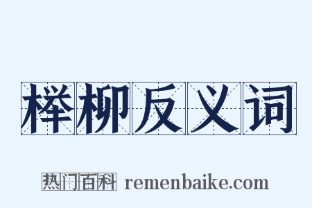 榉柳反义词是什么意思的图片